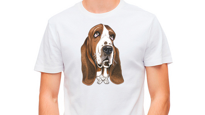 Positiivarit - Basset hound