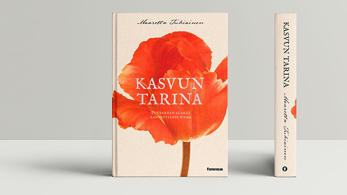 Positiivarit - Kasvun tarina
