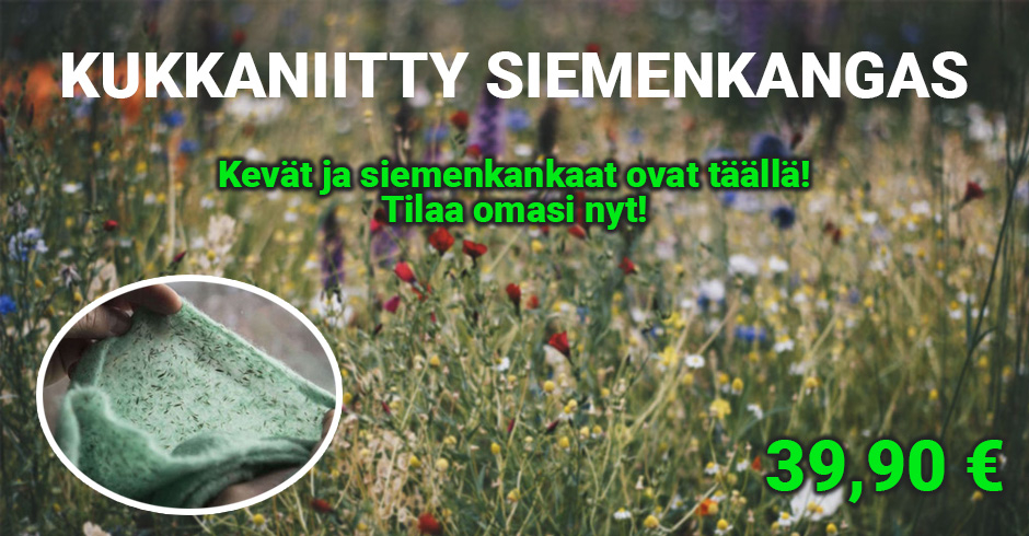 Kukkaniitty siemenkangas