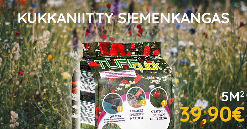 Kukkaniitty siemenkangas